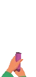 Quiz Result Animation
